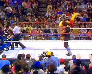 Undertaker Defeats Hogan