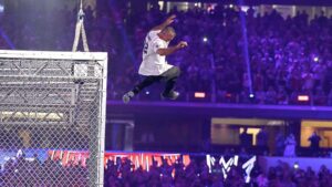 Shane McMahon Hell in a Cell