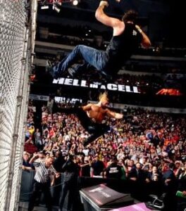 Rollins Ambrose Hell in a Cell