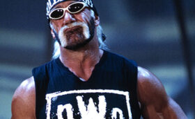 Hulk Hogan Returns