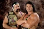 Steiners WWE Hall of Fame