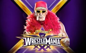 Hulk Hogan WrestleMania 30 Return