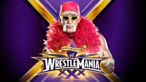 Hulk Hogan WrestleMania 30 Return